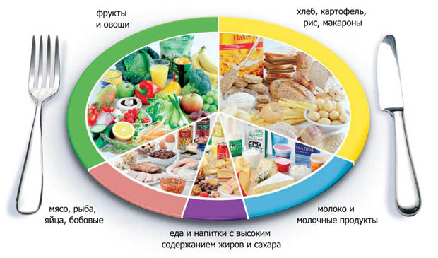 Здоровое питание на завтрак, примеры, меню