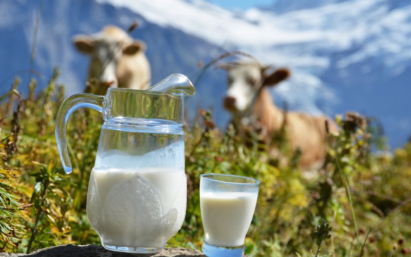 5 продуктов, которые стоит исключить из рациона