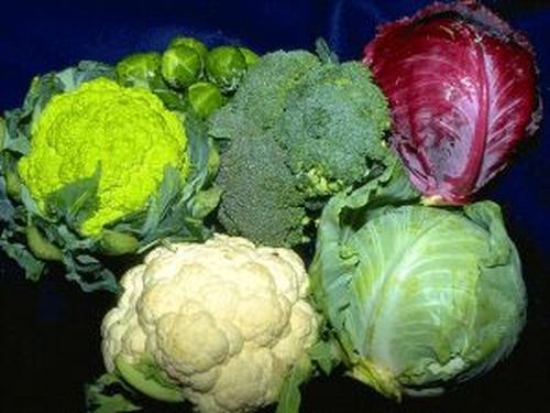 10 продуктов, которые должна включить в свое меню каждая женщина