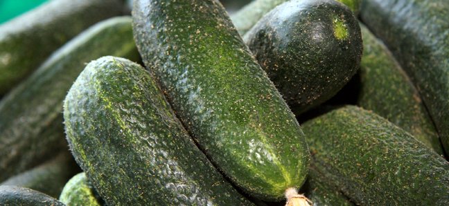 Есть и не толстеть: список продуктов, которые можно есть перед сном