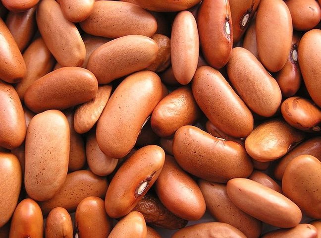 Бобы помогают худеть больше, чем мясо