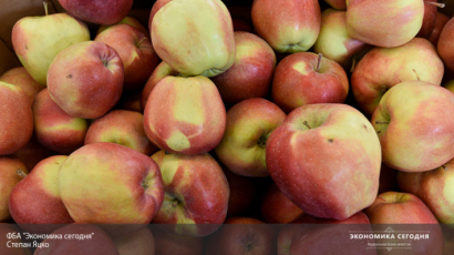 Названы продукты, которые защищают легкие курильщиков 