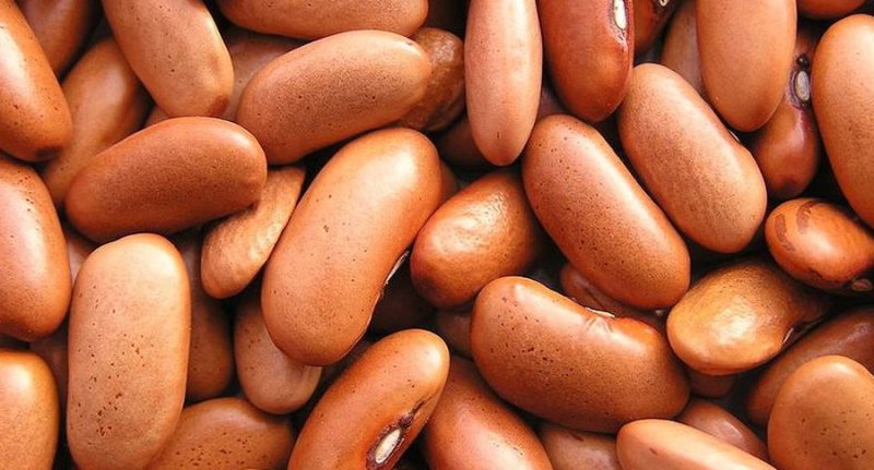 Определен самый доступный продукт для здоровья и долголетия